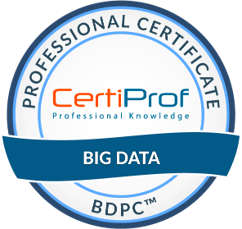 Big Data Professional Certificate