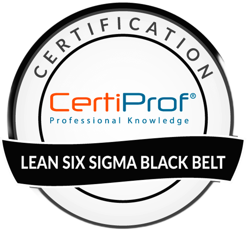 Lean Six Sigma Black Belt Professional Certification